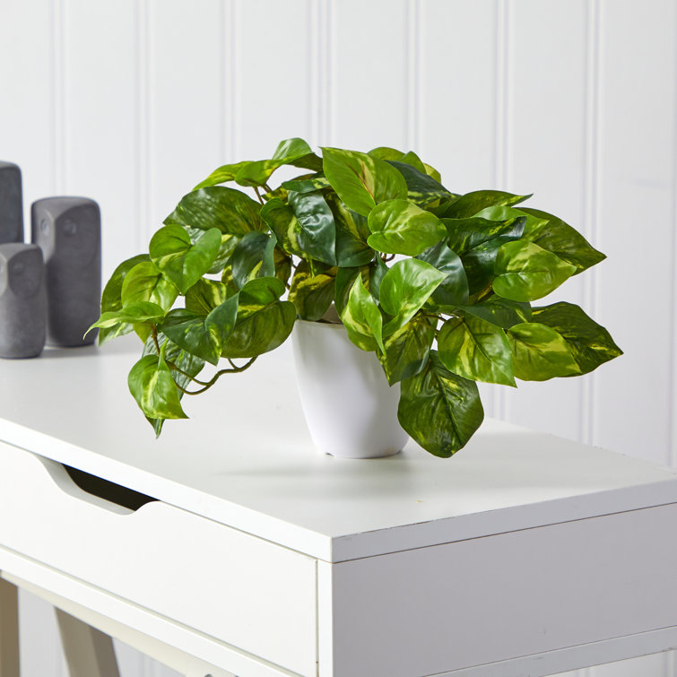 Primrue 9'' Faux Pothos Plant in Planter & Reviews Wayfair Canada
